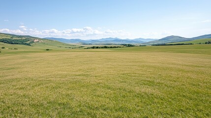 Fototapeta premium Vast green and yellow grassy field stretches towards distant mountains under a clear blue sky on a sunny day.
