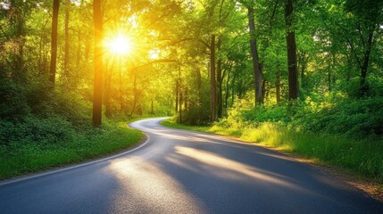 Fototapeta premium Sunlit Road through Lush Forest