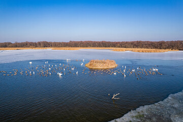 Rezerwat przyrody Łężczok – wodny rezerwat przyrody w województwie śląskim, w powiecie raciborskim. Panorama w zimie z lotu ptaka.