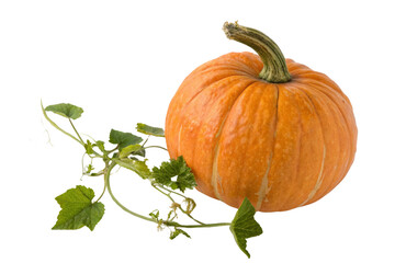 High-Quality Whole and Sliced Pumpkin PNG Free Download