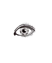 eye of the woman