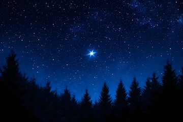 Naklejka premium Starry night sky with the bright star of Orion over a forest landscape. Christmas background