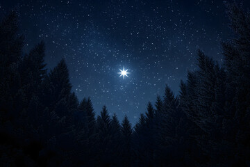 Naklejka premium Starry night sky with the bright star of Orion over a forest landscape. Christmas background
