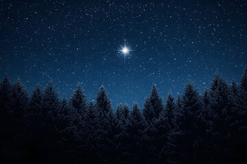 Starry night sky with the bright star of Orion over a forest landscape. Christmas background