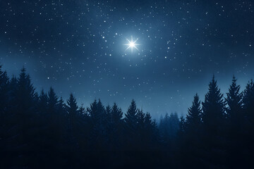 Fototapeta premium Starry night sky with the bright star of Orion over a forest landscape. Christmas background