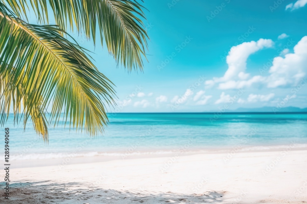 Poster a tranquil beach scene with a palm tree standing tall in the foreground