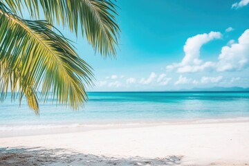 Fototapeta premium A tranquil beach scene with a palm tree standing tall in the foreground