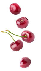 Isolated flying berries. Falling cherries isolated on white background