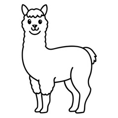 Obraz premium Elegant Alpaca Vector Art