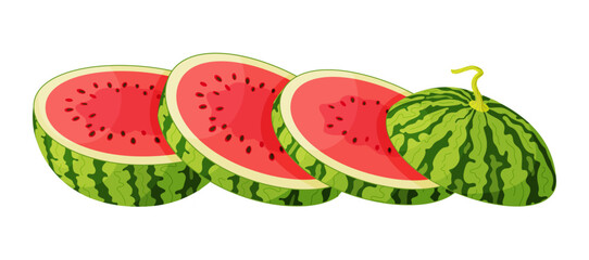 Vector Sliced watermelon. Fresh red chopped watermelon. Large round slices of juicy summer fruit. Healthy vegetarian snack, cut watermelon for design Hand drawn flat style isolated illustration