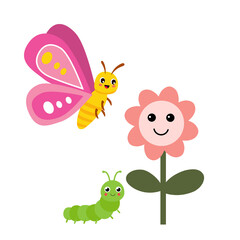 butterfly and flower