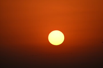 sunset in the sun
