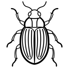 Elegant Beetle Line Drawing