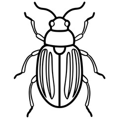 Elegant Beetle Line Drawing