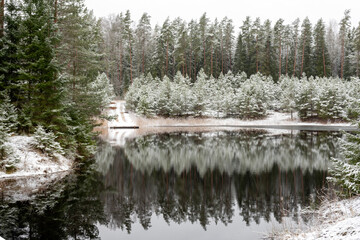 winter landscape with a lake, magical snow-covered trees and reflections in the lake, a gorgeous...