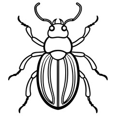 Elegant Beetle Line Drawing