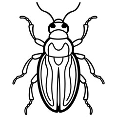 Elegant Beetle Line Drawing