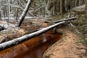 winter landscape with forest, magical snow-covered trees, small, wild river with many bends, many fallen trees over the river