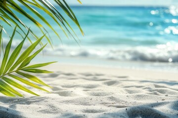A detailed view of a palm leaf on a sunny beach
