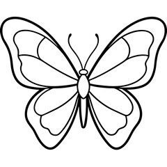 Fototapeta premium Elegant Butterfly Outline