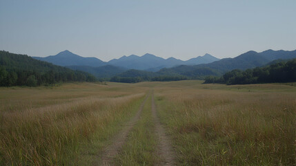 Obraz premium Dirt path winds through a vast grassy valley toward distant blue mountains under a clear sky.