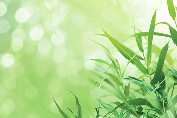 Lush green bamboo leaves against a soft bokeh background, creating a serene atmosphere