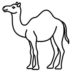 Elegant Camel Sketch