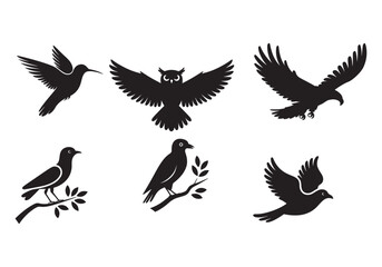 Fototapeta premium High-Quality Bird Silhouette Vector Illustration - Perfect for Design Projects and Creative Artwork