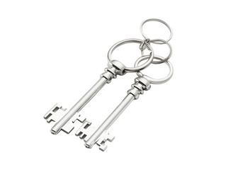 Two Silver Skeleton Keys on Key Rings with Transparent Background