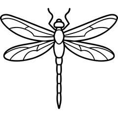 Elegant Dragonfly Outline