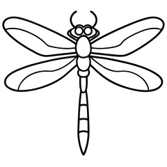 Elegant Dragonfly Outline