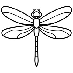 Elegant Dragonfly Outline