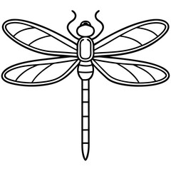 Elegant Dragonfly Outline