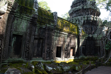 Fototapeta premium Exploring the Ta Prohm Temple in Siem Reap, Cambodia