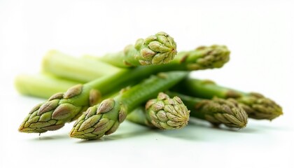 Fresh green asparagus spears on white background.