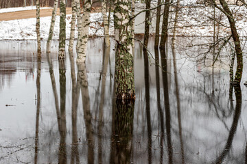 latvian winter landscape with flooded lake, thin and light ice in places, reflections