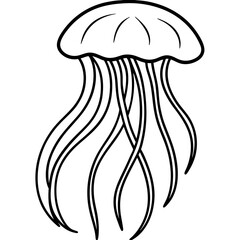 Floating Jellyfish Sketch