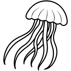 Floating Jellyfish Sketch