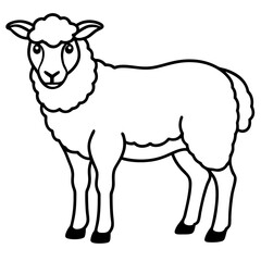 Fluffy Sheep Linework