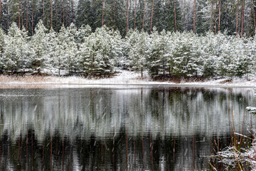 winter landscape with a lake, magical snow-covered trees and reflections in the lake, a gorgeous...