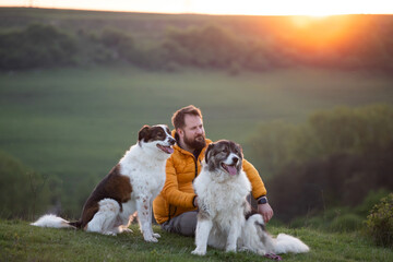 Happy dog and man playing outdoor