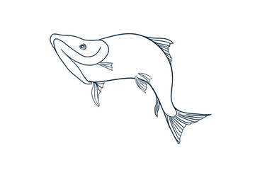 Silhouette sea fish swimming black white vector illustration. Salmon sketch hand drawn. Nerka fish painted ink linear art. Sockeye drawing in outline. Design element for package, label, sign board.