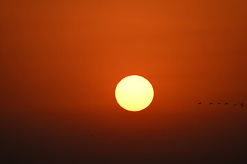sunset over the sea