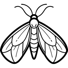 Geometric Moth Illustration