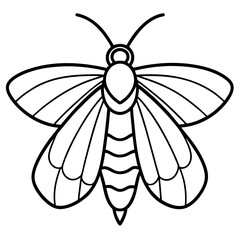 Geometric Moth Illustration