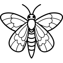 Geometric Moth Illustration