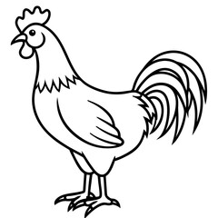 Geometric Rooster Linework