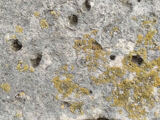 Cracked concrete with moss and lichen patches