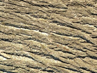 Rough layered rock texture with earthy tones