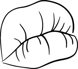 Sexy woman lips in sketch style